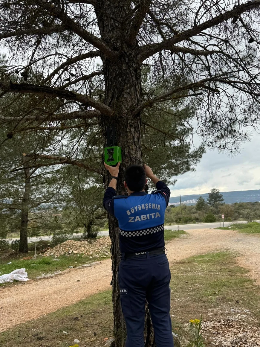 Doğa düşmanlarının gözü döndü, fotokapana rağmen ormanı çöplük yaptılar