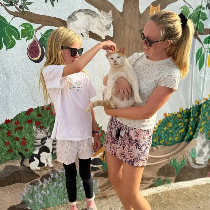 Bu adada kedilere bakana tatil bedava