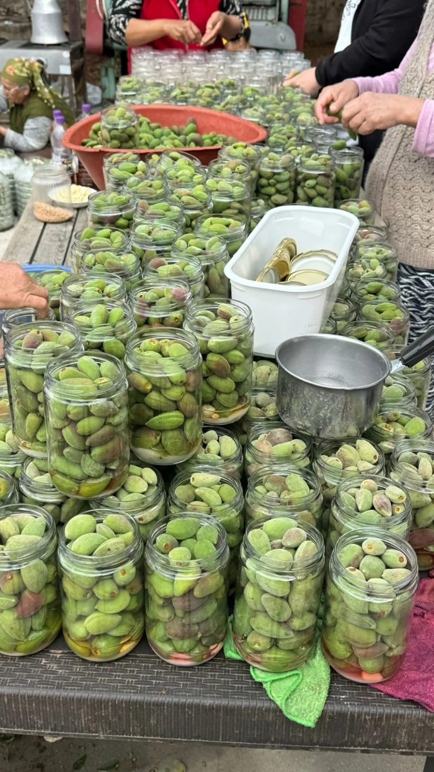 Kadın Üreticilerin Datça Turşusu kapışıldı