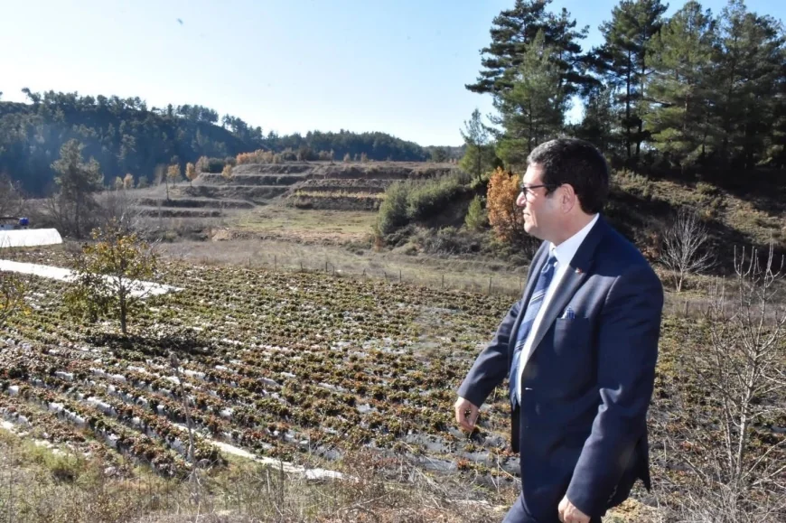 BARIŞ SAYLAK’TAN HOBY BAHÇELERİ İÇİN ÇOK ÖNEMLİ AÇIKLAMA