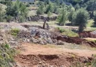   Doğal sitte bakanlık bile engelleyemedi