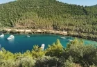 Muğla’nın ormanlarından beton fışkıracak…45 bin 819 metrekare alan, orman sınırları dışına çıkarıldı