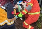 Bodrum’da yağış faciaya neden oluyordu, ağaca çarpan genç kadın yaralandı.