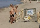 Plajda caretta caretta yuvası ve yolu yapıldı, uyarı levhaları konuldu “Dikkat Caretta caretta çıkabilir”