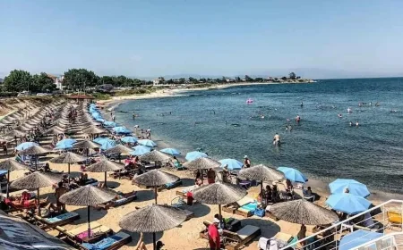 Plajlarda şezlong ve şemsiye yasaklandı. HEYECANLANMAYIN BODRUM'DA OLMAZ ÖYLE ŞEYLER....