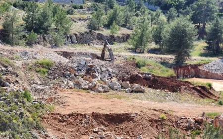   Doğal sitte bakanlık bile engelleyemedi