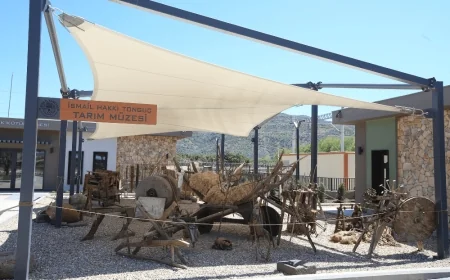 Efes Tarlası Yaşam Köyü Avrupa Konseyi Kültür rotaları onursal üyeliğine kabul edildi.