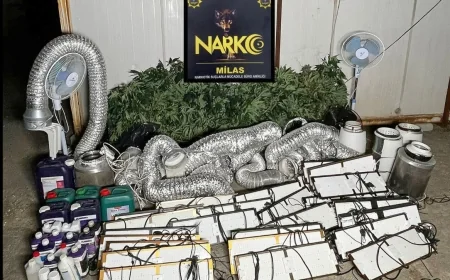 Lüks villayı uyuşturucu tarlasına çevirmişler