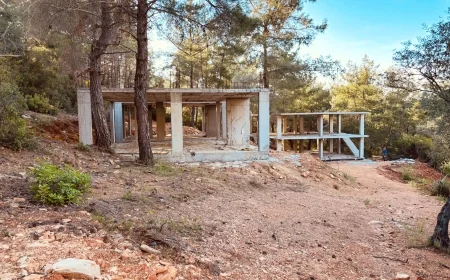 Gözleri döndü….Böylesi görülmedi, Orman içinde kaçak villa, bin yıllık zeytin ağaçlarını katlettiler, mühürlendi