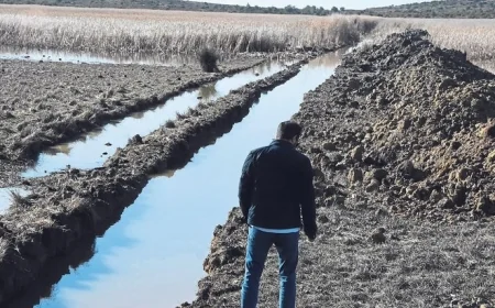 Kanallar açılarak kurutulmak istenen Cennet İris gölü kurtuldu.
