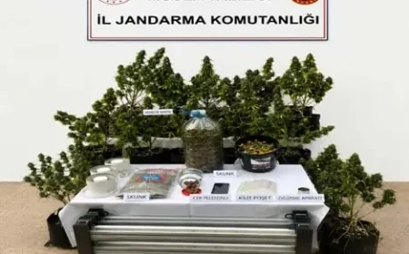 Uyuşturucu operasyonlarında 9 tutuklama