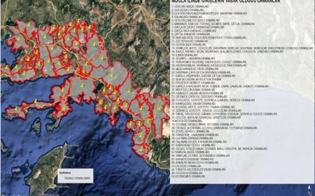 Muğla’da Ormanlara Girişler Yasaklandı  Valilikten Yangın Sezonu İçin Sıkı Tedbirler