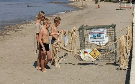 Plajda caretta caretta yuvası ve yolu yapıldı, uyarı levhaları konuldu “Dikkat Caretta caretta çıkabilir”