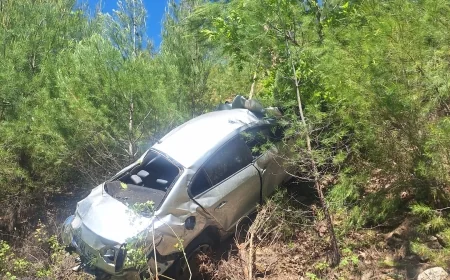 Orman’a uçan otomobilde bir kişi yaşamını yitirdi