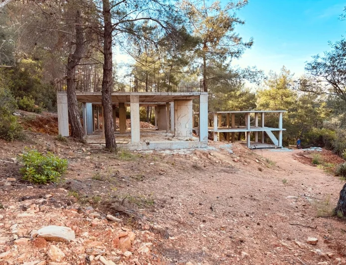 Gözleri döndü….Böylesi görülmedi, Orman içinde kaçak villa, bin yıllık zeytin ağaçlarını katlettiler, mühürlendi