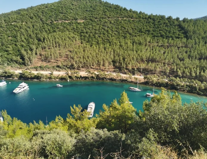 Muğla’nın ormanlarından beton fışkıracak…45 bin 819 metrekare alan, orman sınırları dışına çıkarıldı