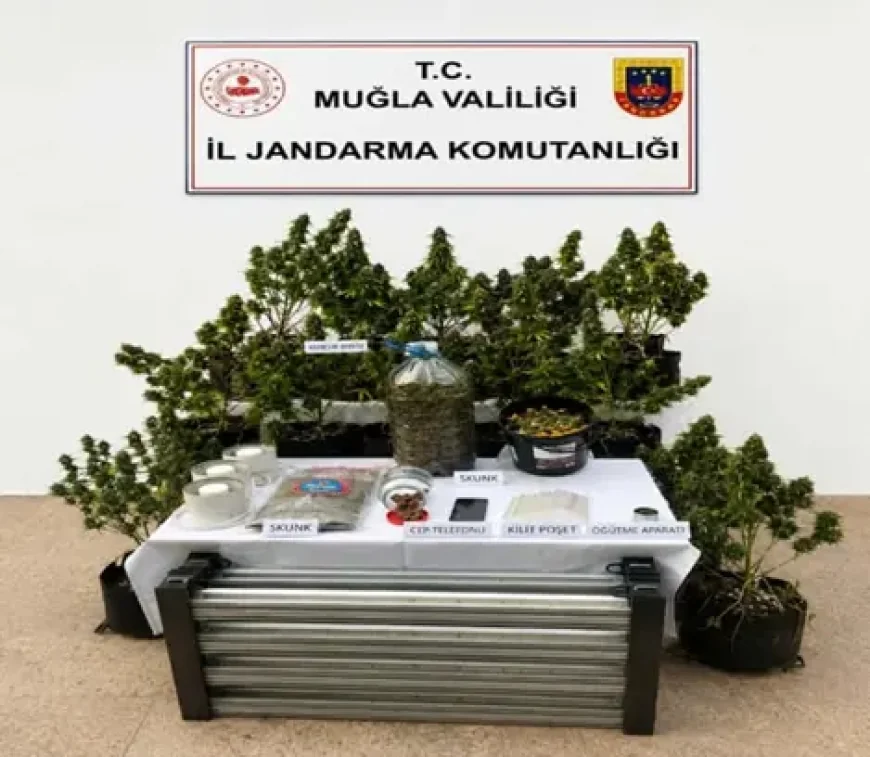 Uyuşturucu operasyonlarında 9 tutuklama