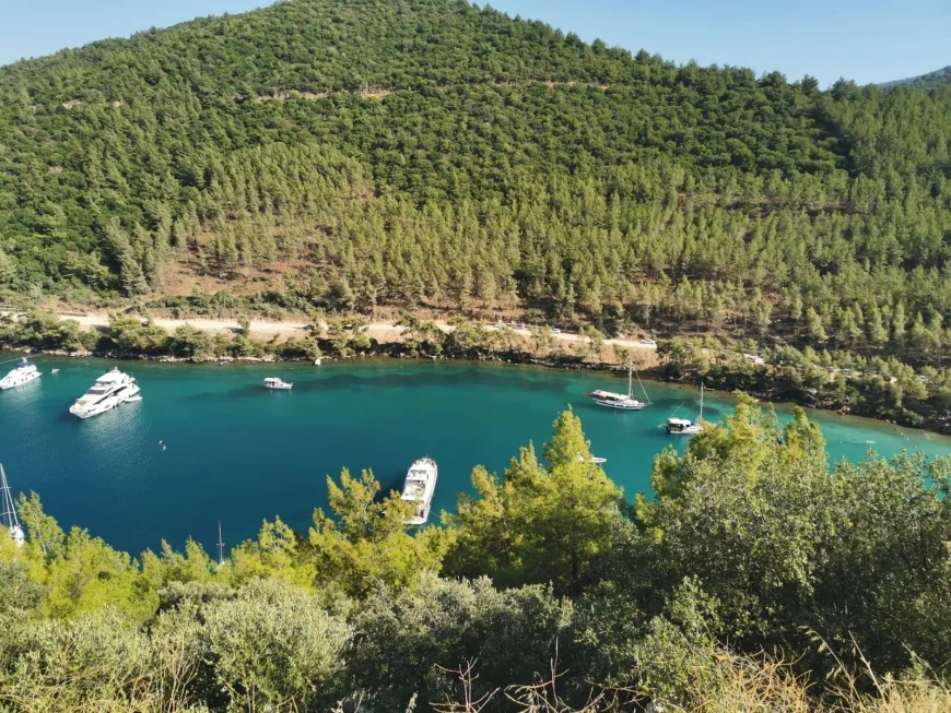 Muğla’nın ormanlarından beton fışkıracak…45 bin 819 metrekare alan, orman sınırları dışına çıkarıldı