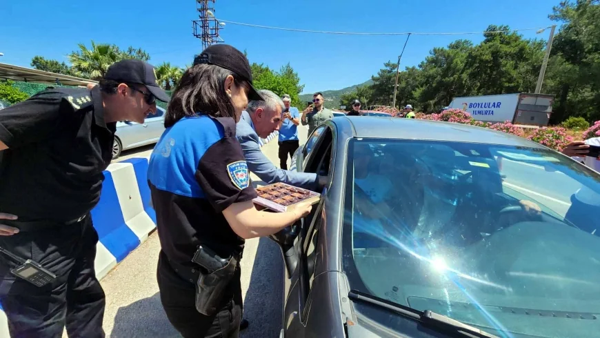 Bodrum’a 500 bin turist geldi, sahiller renklendi