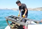 Yahşi’nin denizinden çıkanlar şoke etti