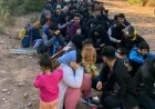 GÖÇMEN KAÇAKÇILIĞI OPERASYONU: 7 ŞÜPHELİ YAKALANDI