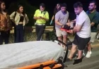 Torba’da motosiklet domuz sürüsüne daldı,2 genç yaralandı