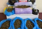 MARMARİS'TE 5 KİLO 670 GRAM SKUNK ELE GEÇİRİLDİ