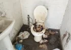 Turizmin başkentinde utandıran görüntüler. Kleopatra’nın ruhuna fatiha okuttular…