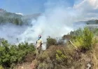 Muğla ve Aydın’da Peş Peşe Yangınlar: Ekipler Seferber Oldu