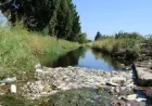 GEDİZ VE KÖRFEZİN KİRLİLİĞİ FOÇADA TARİHİ KALEDE MASAYA YATIRILDI