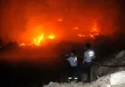 Dalaman'da Orman Yangını Çıktı: Ekipler Alevlere Müdahale Ediyor