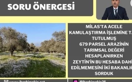    İKİZKÖY AKBELEN’DE ZEYTİN ÜRETİMİ HESABA KATILMAMIŞ ....    İzmir Milletvekili Akın İkizköy Akbelen’de acele kamulaştırmanın peşini bırakmıyor