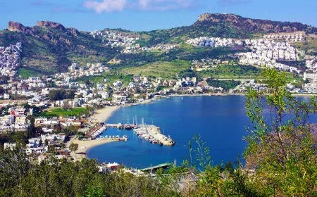 Bodrum’da kamu arazilere parsel parsel satılıyor,   bu kez 5 milyarlık arsa satılacak