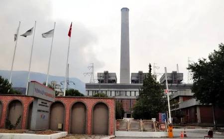 Muğla’daki üç termik santralin kapatılması için dava açtılar