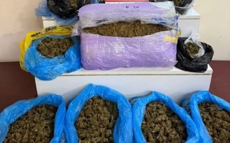 MARMARİS'TE 5 KİLO 670 GRAM SKUNK ELE GEÇİRİLDİ