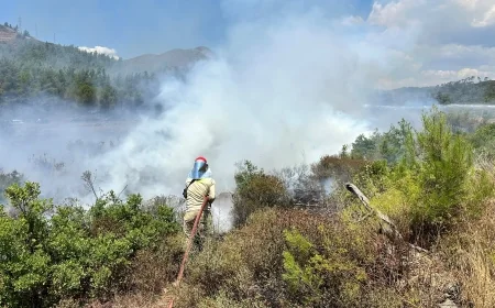 Marmaris'te Yıldırımın Çıkardığı Yangın Büyümeden Söndürüldü