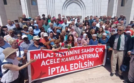 Acele kamulaştırmaya direnen Esra Işık’ın duruşması yine ertelendi