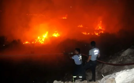 Dalaman'da Orman Yangını Çıktı: Ekipler Alevlere Müdahale Ediyor