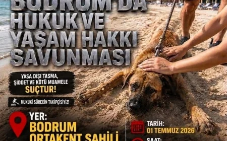 Ortakent Kefi Beach Önünde Yaşam Hakkı İçin Basın Açıklaması Çağrısı