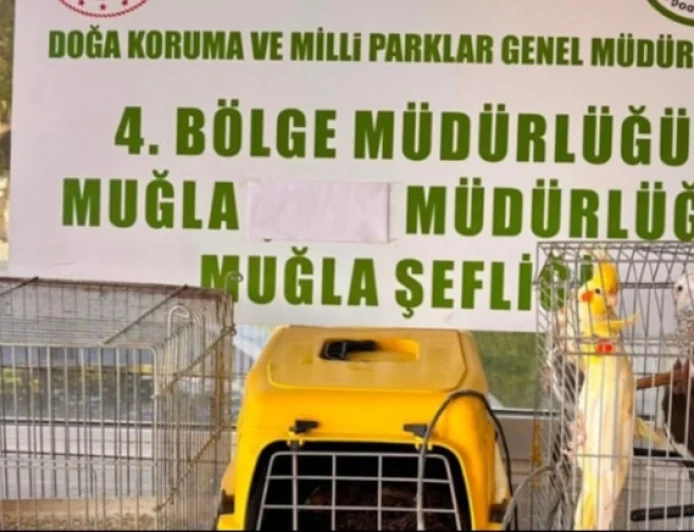 Muğla'da 13 yaban kuşu ele geçirildi