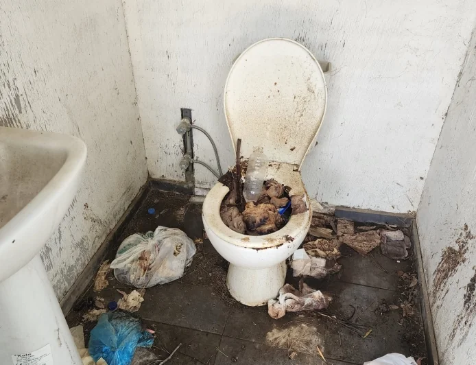 Turizmin başkentinde utandıran görüntüler. Kleopatra’nın ruhuna fatiha okuttular…