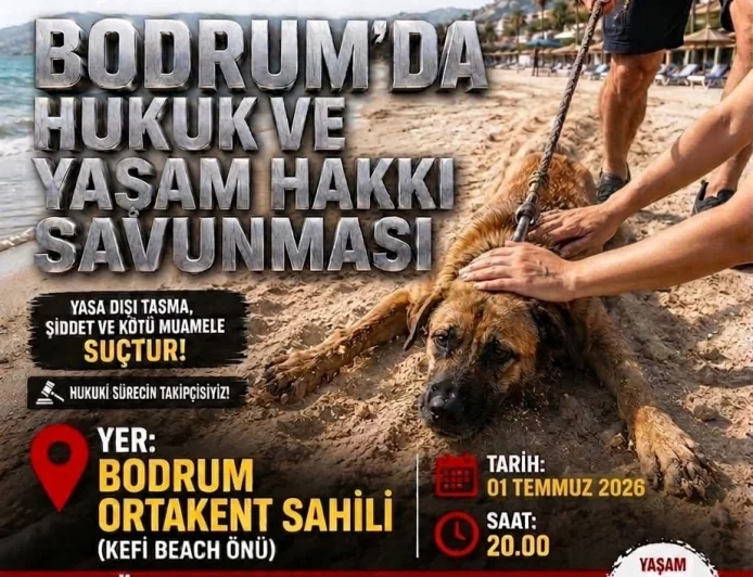 Ortakent Kefi Beach Önünde Yaşam Hakkı İçin Basın Açıklaması Çağrısı