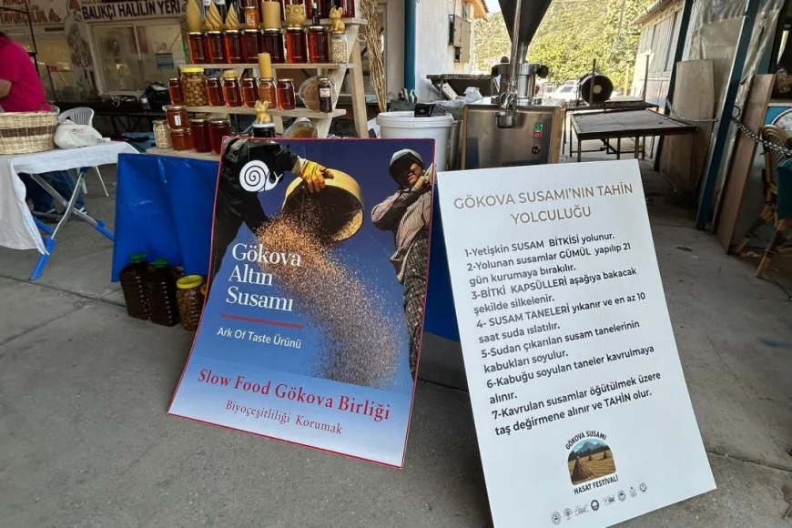 Gökova Susamı tescillendi