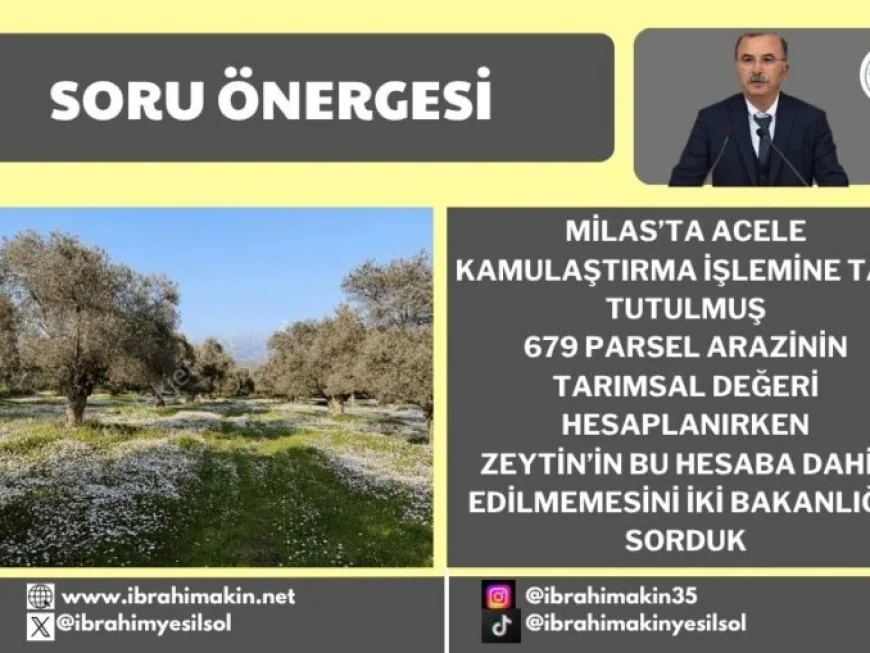    İKİZKÖY AKBELEN’DE ZEYTİN ÜRETİMİ HESABA KATILMAMIŞ ....    İzmir Milletvekili Akın İkizköy Akbelen’de acele kamulaştırmanın peşini bırakmıyor