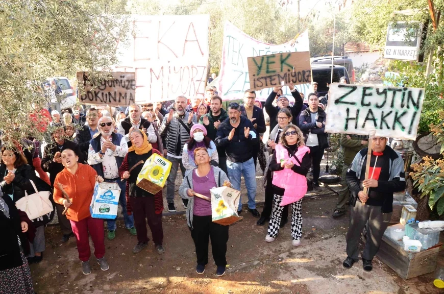 Bodrum’un 7 köyünü sevindiren haber. Danıştay köylerdeki RES projelerine dur dedi