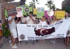 Bodrumlu Hayvanseverlerden sokak köpeğine kötü davranan turistik işletmeye eylem ve protesto
