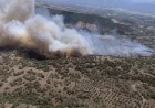Aydın'da Zirai Alanda Çıkan Yangına Havadan ve Karadan Müdahale