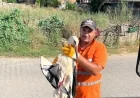 Yaralı leyleğin umudu belediye temizlik işçisi oldu