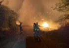 Bodrum Gönüllüleri'nden Yangın Riskine Karşı Duyarlılık Çağrısı