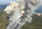 Milas'ta GÜRÇAMLAR ORMANLARI ALEV ALEV YANIYOR